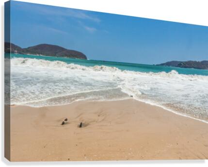 Tropical Waves Canvas Print