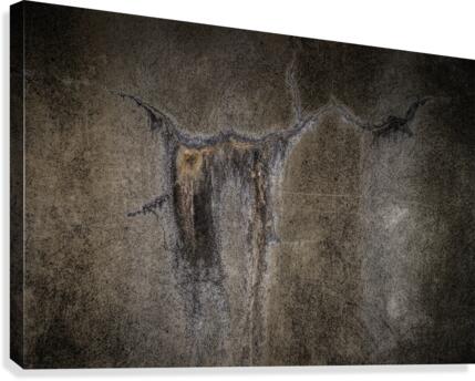 Ancestral Memory Canvas Print
