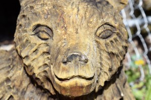 The Animal Totem 