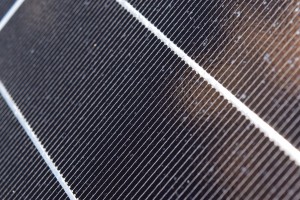 The Grid 