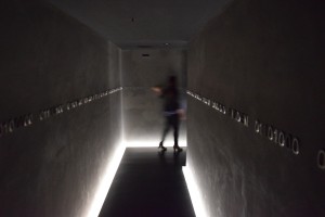 Australian Ghost 