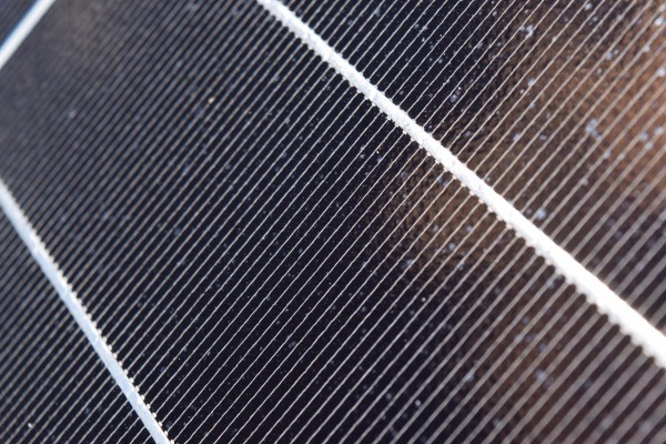 The Grid   Print