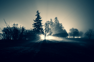 THE COMING