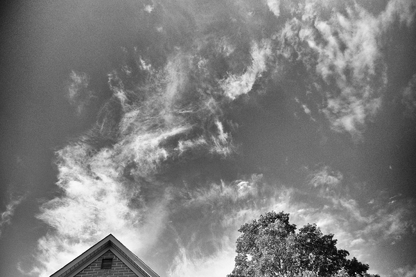 DREAMING TO FLY Print