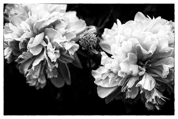 SPRING TIME Print