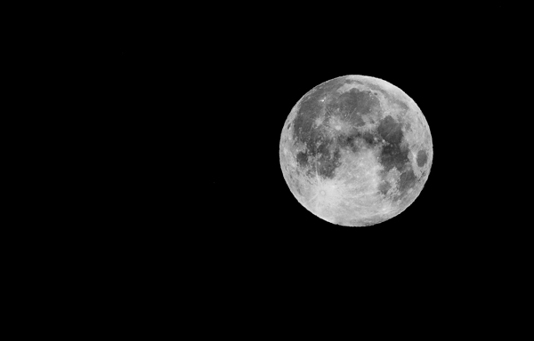 BELLA LUNA Print