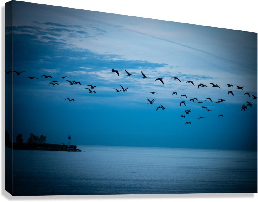 CANADA Canvas Print