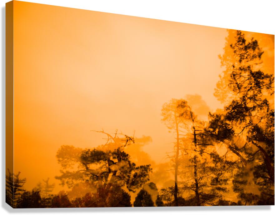 GHOSTS Canvas Print
