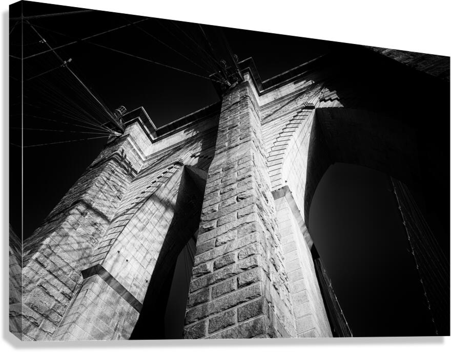 ICON 2 Canvas Print