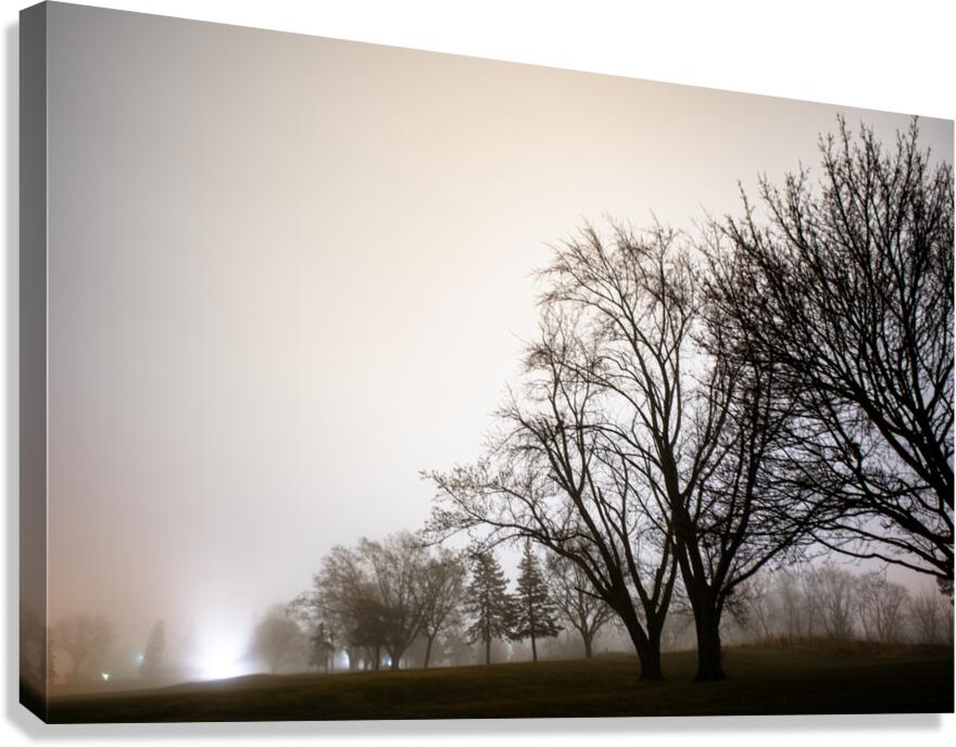 FADING Canvas Print