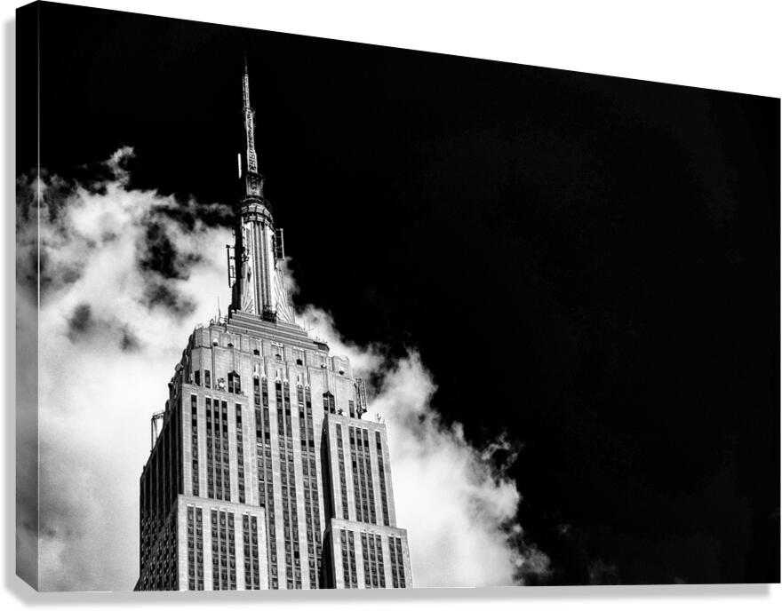 KING KONG Canvas Print