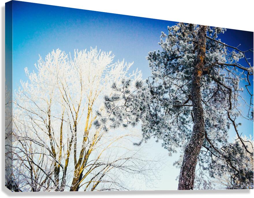 CRYSTAL Canvas Print