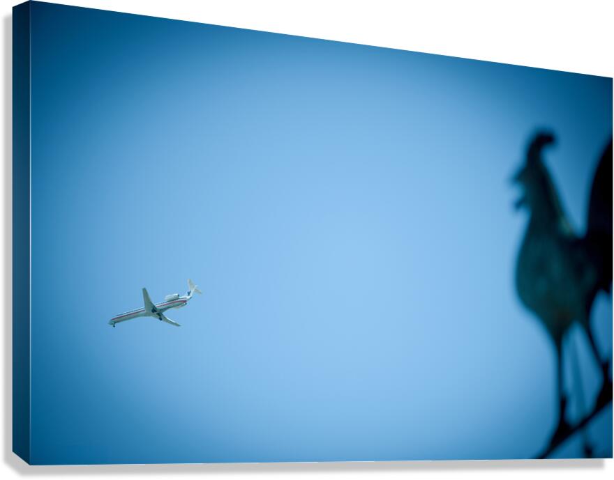 WHICH CAME FIRST Canvas Print