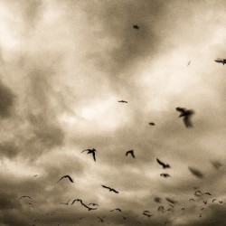 CLOUDS