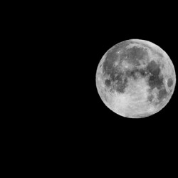 BELLA LUNA