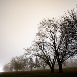 FADING