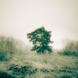 MISTY