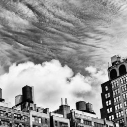 NEW YORK STATE OF MIND