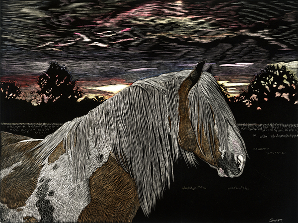 Sunset On The Paddock by Sonja Jones   BYOB Artwork