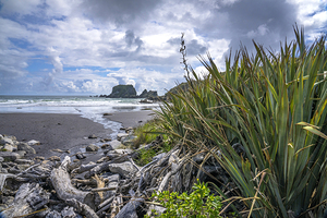 South Island Beach New Zealand