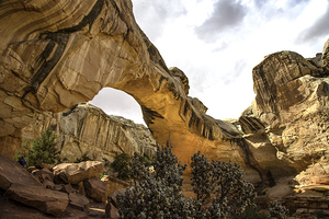 Grand Arch Capitol Reef National Park 