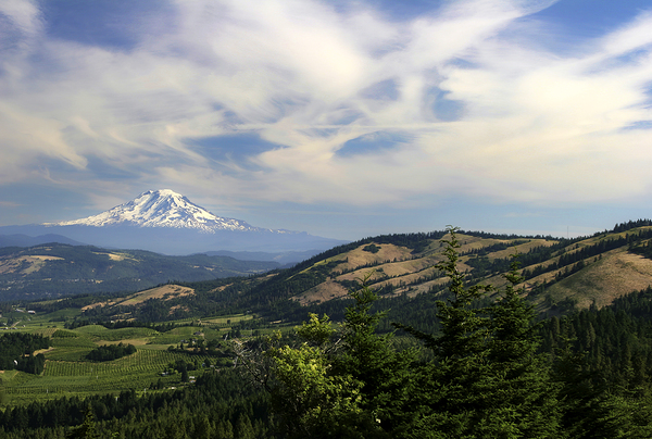 Mount Adams Washington  Print