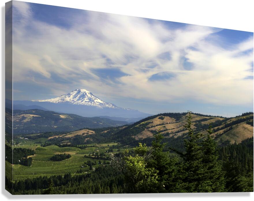 Mount Adams Washington  Canvas Print