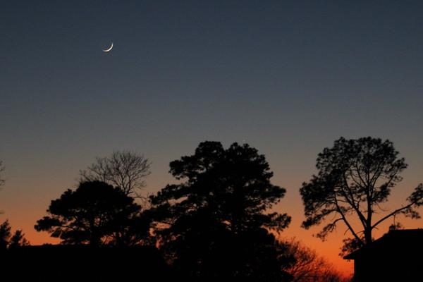 20210114174556 IMG 0158 by Chad Shumaker