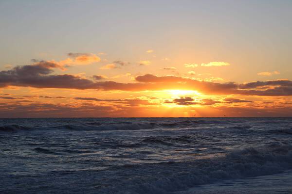 20210124071702 IMG 0248 by Chad Shumaker