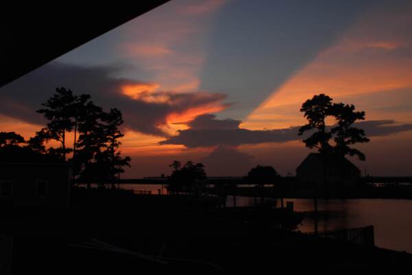 20210824185035 IMG 2855 by Chad Shumaker