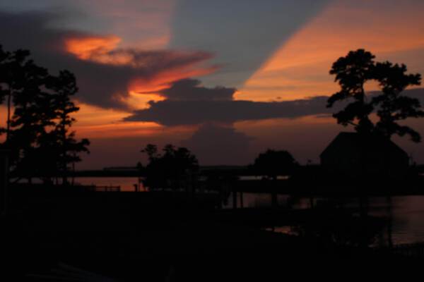 20210824185207 IMG 2859 by Chad Shumaker