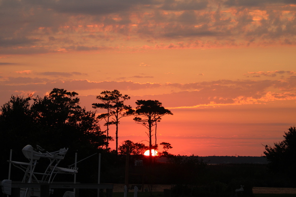 20220812185524 IMG 9556 by Chad Shumaker