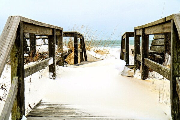 IMG 9999 153 3 by Chad Shumaker