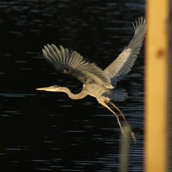 20211205160242 IMG 6577 2
