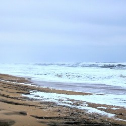 20220122081632 IMG 1992 2