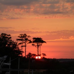 20220812185524 IMG 9556