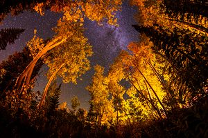 Milky Way buff pass Colorado.