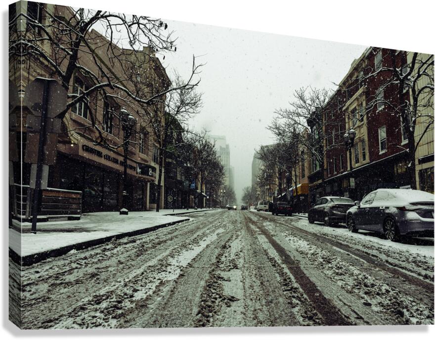 Icy Road Canvas Print