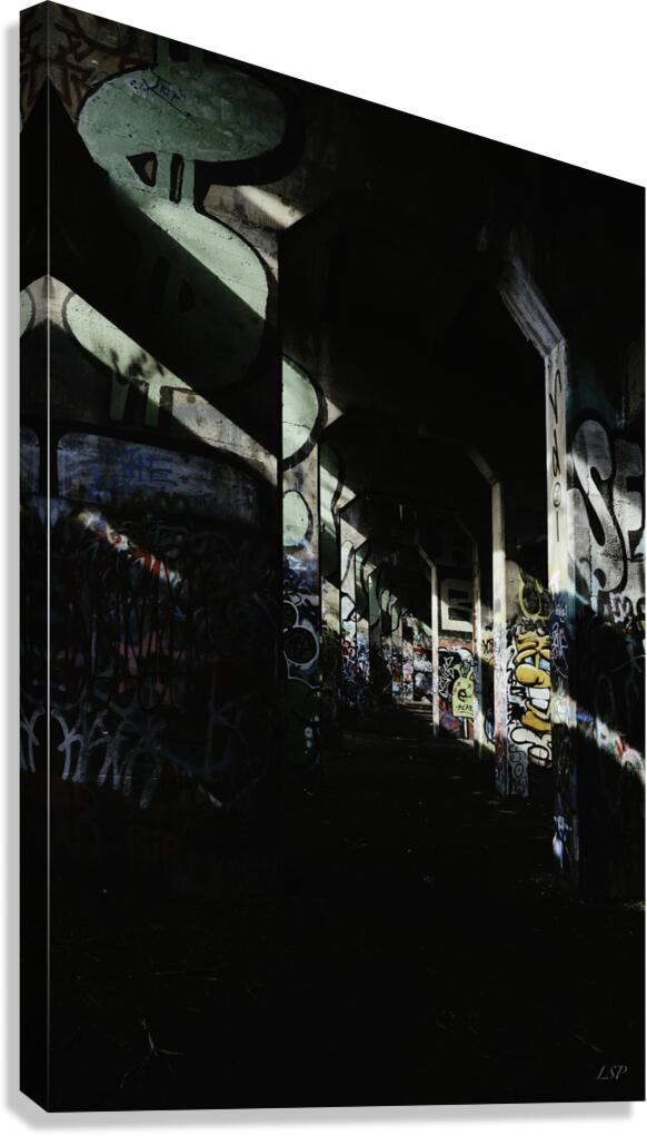 Shadows in Art Canvas Print