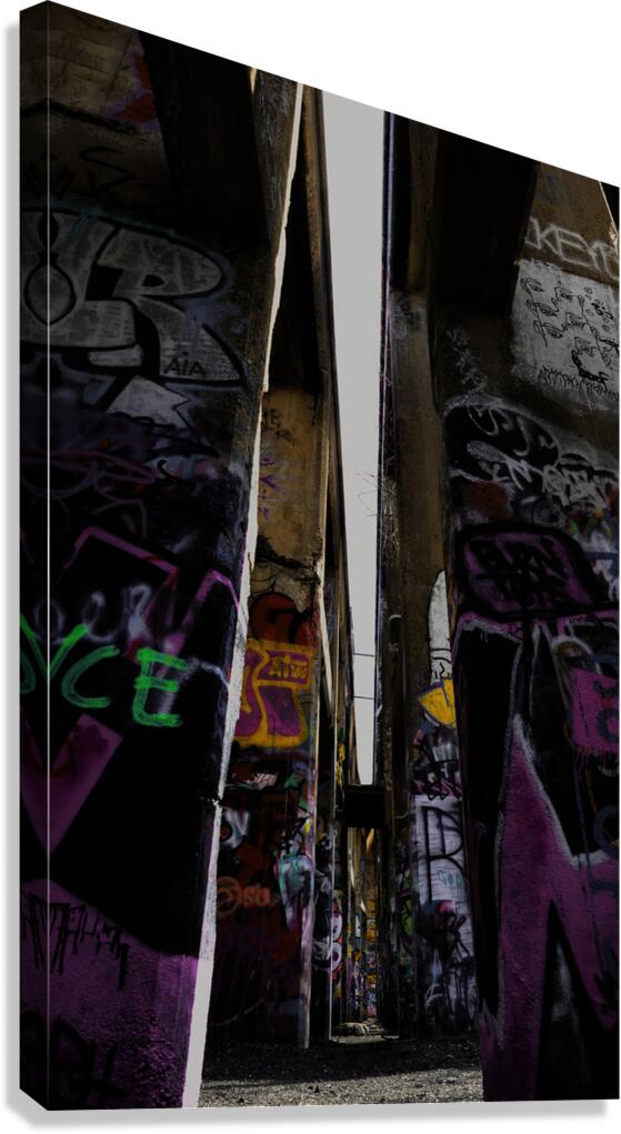 The Isle Canvas Print