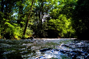 River