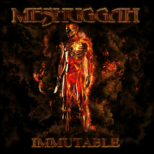MeshuggahImmutablefix1PTRM