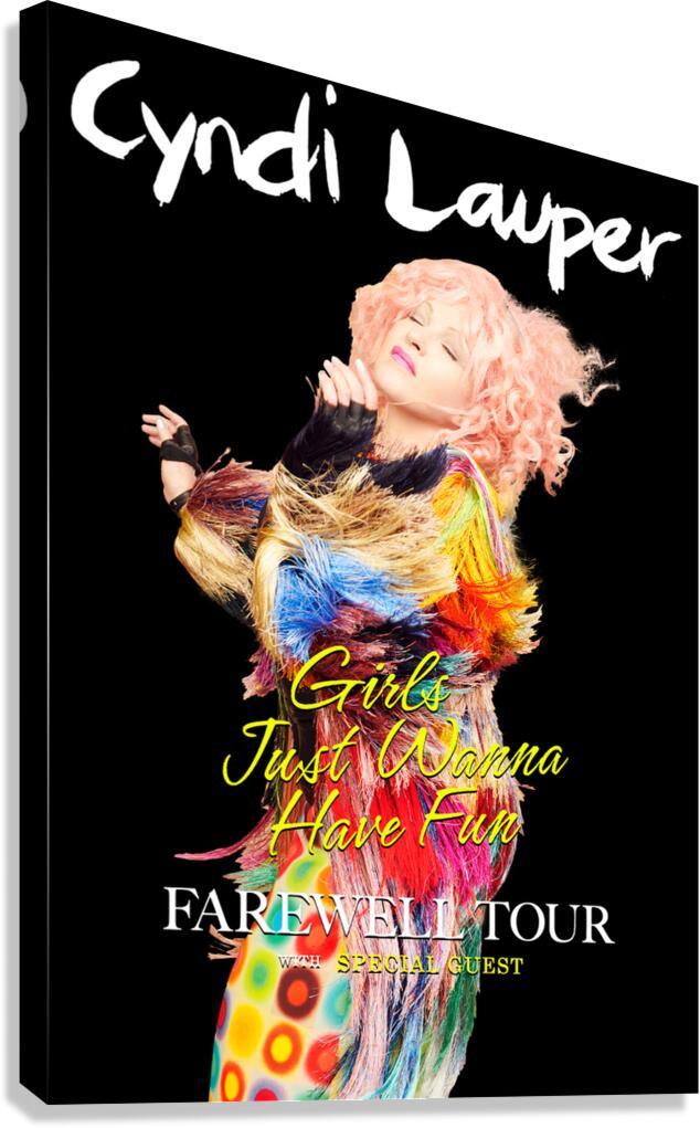 Cyndi Lauper ツアーパンフレット10冊セット　オマケ付き Cyndi Lauper 写真集セット Cyndi Lauper ツアーパンフレット10冊