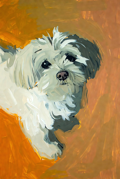 Expressive White Maltese Shih Tzu Dog Portrait Print