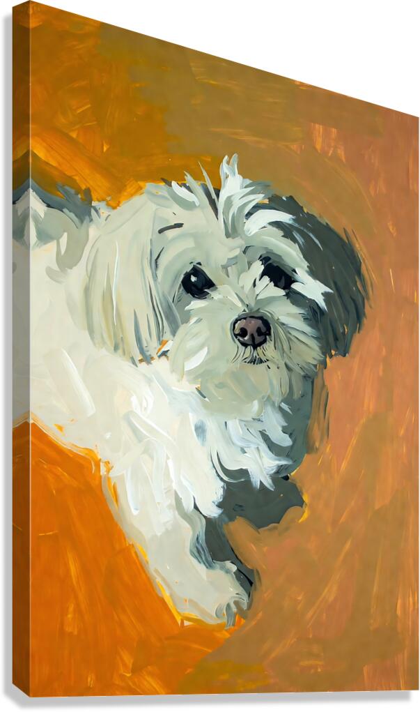Expressive White Maltese Shih Tzu Dog Portrait Canvas Print
