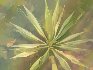 Beautiful green plant.
