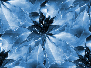 Connected flowers.