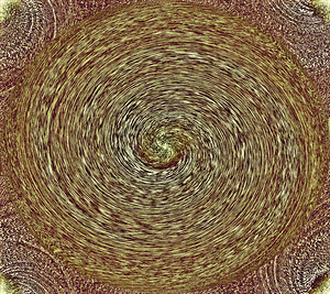 Golden spiral