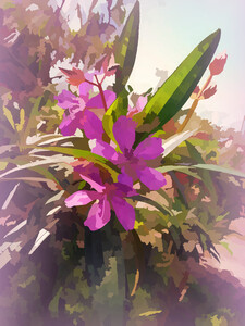 Pretty flowers.