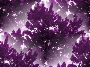 Trees.